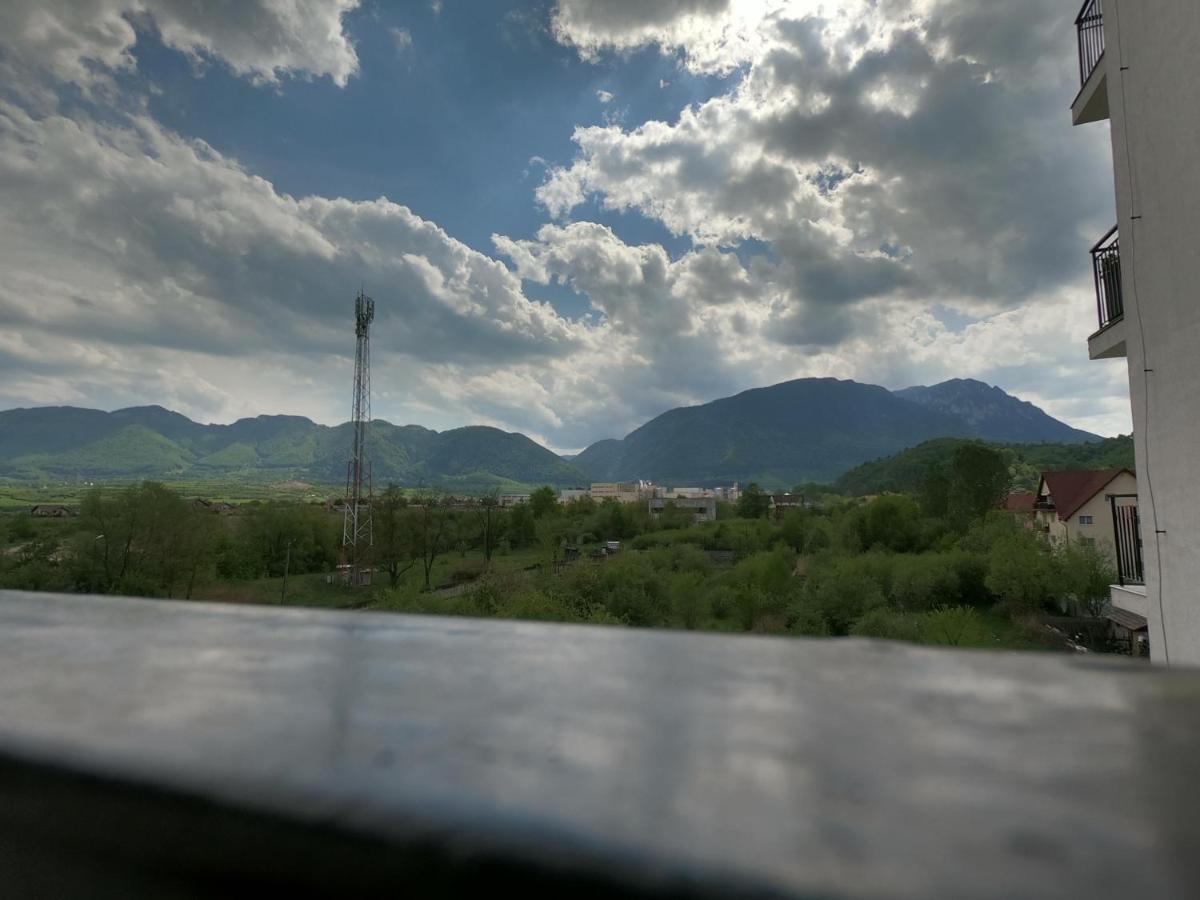 Panoramic Residence Zarnesti Exterior foto
