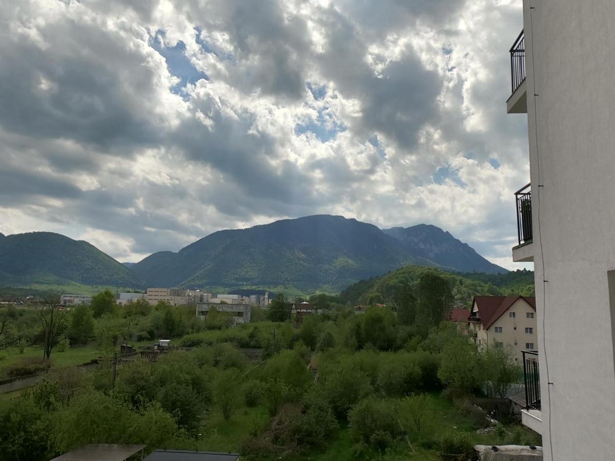 Panoramic Residence Zarnesti Exterior foto